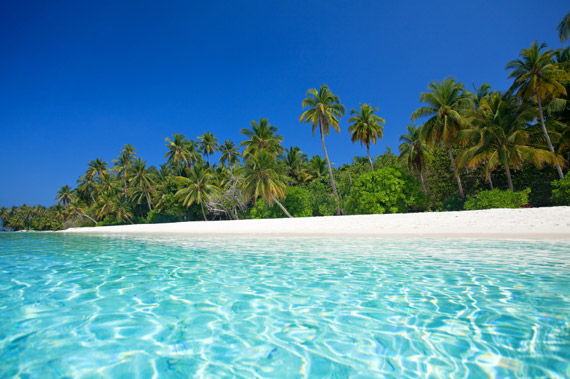 The Dominican Republic is famous for its white sand, palm lined beaches!