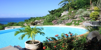A beautiful 7 bedroom, 7 bathroom villa with jacuzzi, swimming pool and gorgeous views of the Caribbean Sea!