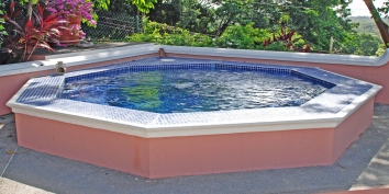 SOL Y MAR VILLA, TOBAGO W.I. Jacuzzi  with swirling hot water. Lighted at night for continued enjoyment