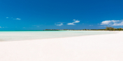 The unbelievably white sand of Taylor Bay Beach, Providenciales, Turks and Caicos Islands.